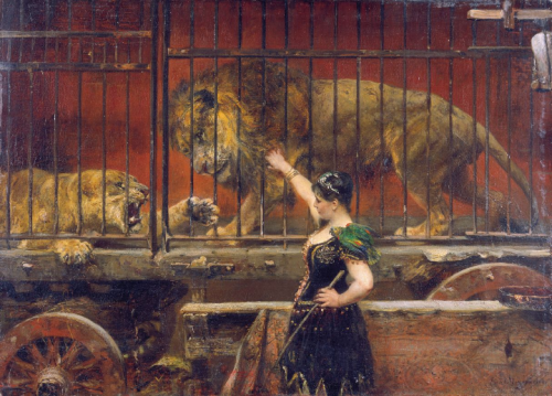 jealous lioness