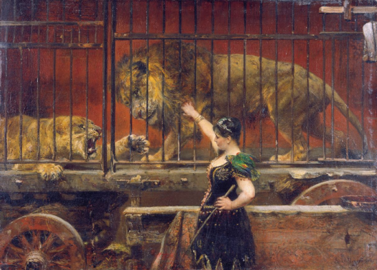 jealous lioness